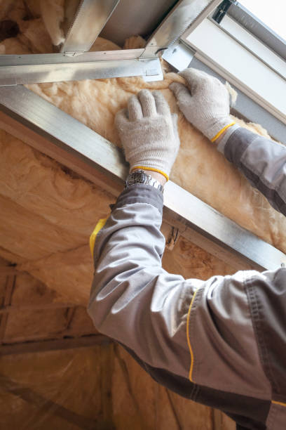 Best Soundproof Insulation Installation  in Bovina, TX