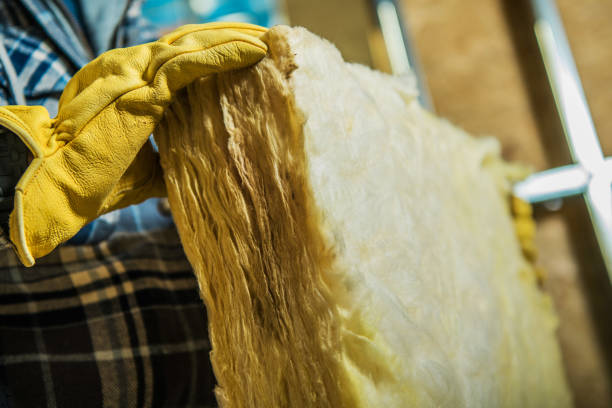 Best Spray Foam Insulation  in Bovina, TX
