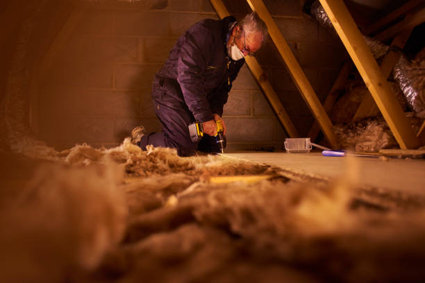 Insulation Repair Services in Bovina, TX