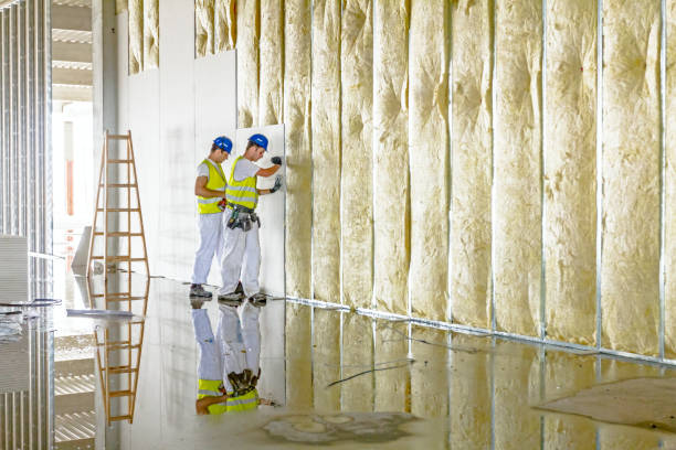 Best Attic Insulation Installation  in Bovina, TX